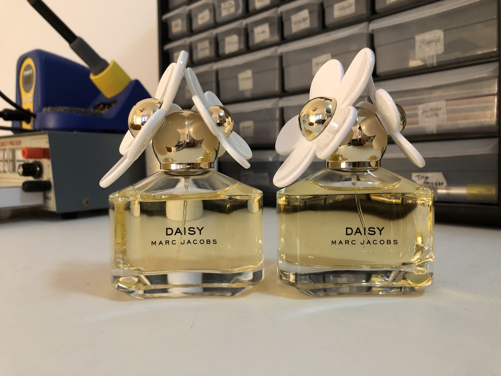 Fake daisy perfume online